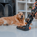 Zyntec Magic Pro 3 em 1 – Aspirador Vertical Sem Fio Premium com Tecnologia UV-C